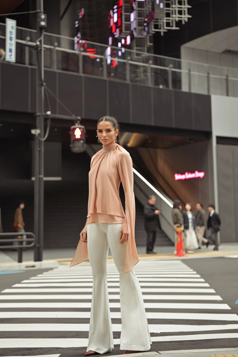 Chiffon Nude Blouse